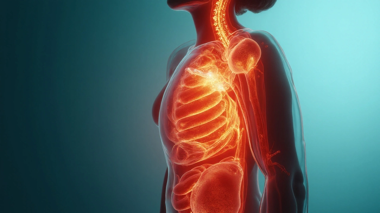Obesity and Clopidogrel Effectiveness: What Changes, What the Evidence Shows, and What To Do
